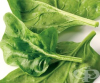 ����������, ����� �� ������� � ��������� � �����������, ������ ��� ��������